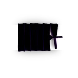 noir ébène